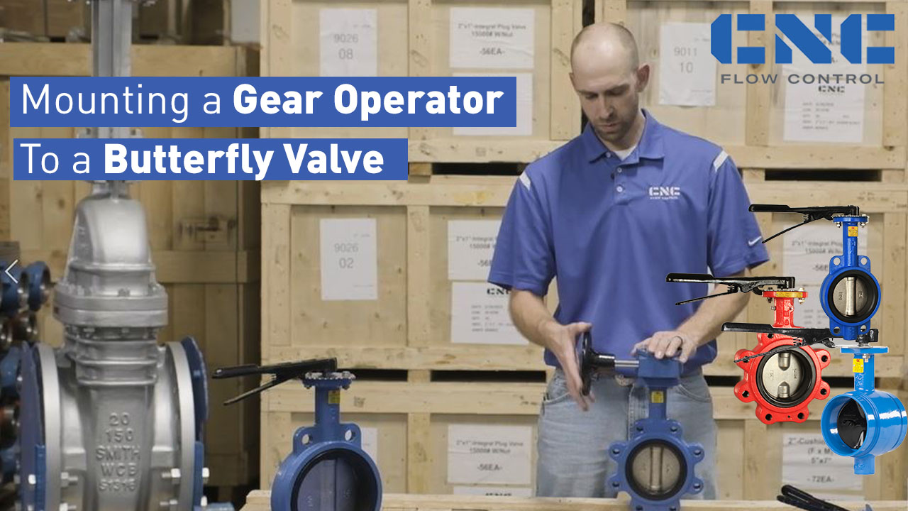 Gear Op & Butterfly Valve  